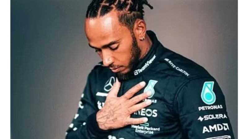 The former F1 driver described Hamilton’s season