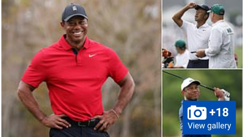 Where is Tiger Woods and can he really win in 2024? After the golf legend pledged to host a tournament every month this year.