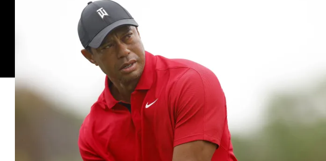 SO SAD:THIS’S A SLAP ON TIGER WOODS FACE