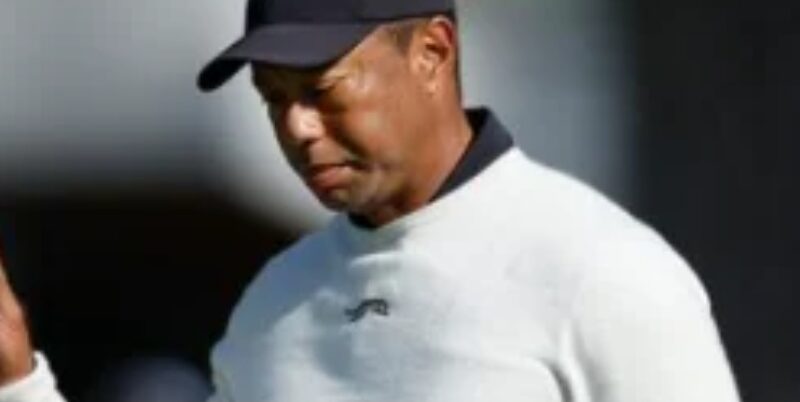 Emergency personnel in charge of tiger woods sickness has discloss what’s wrong with tiger woods