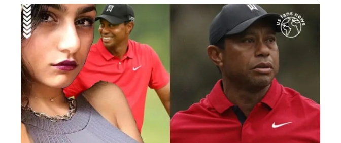 Adult film stars post attacks on Tiger Woods, what happened? (video)