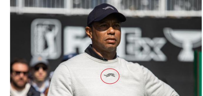 FRESH TIGER WOODS CONSPIRACY THEORY LABELLED ‘LAUGHABLE’