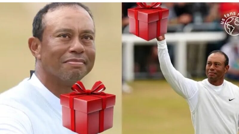 Tiger shed tears when he received this gift from a fan