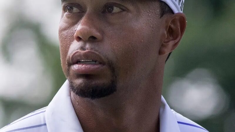 Tiger woods sucked what did you think of me??? tiger woods asked