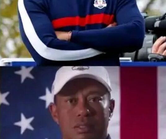 Tiger Woods reviled in an interview that all he ever worked for is crombling because of one mistake check