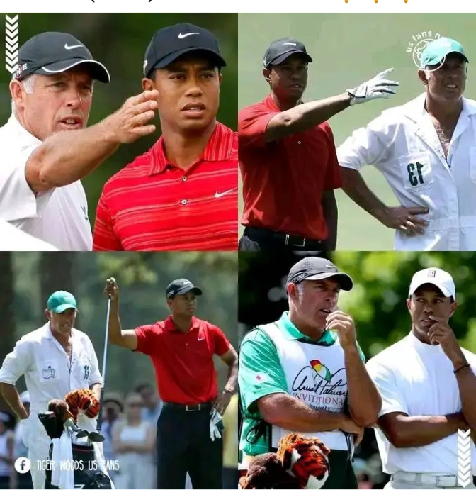 Steve Williams recently shocked the golf world when he revealed the truth about Tiger Woods (video)