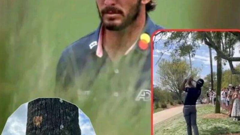 When death has power : A professional golfer  hit a fan in the head with his shot. 🙄🙄🙄 full Details In Comment