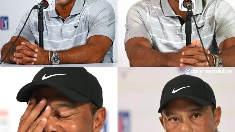 Tiger Woods refused a record bribe from the European Tour for charity purposes, why? – See details in comments👇👇👇