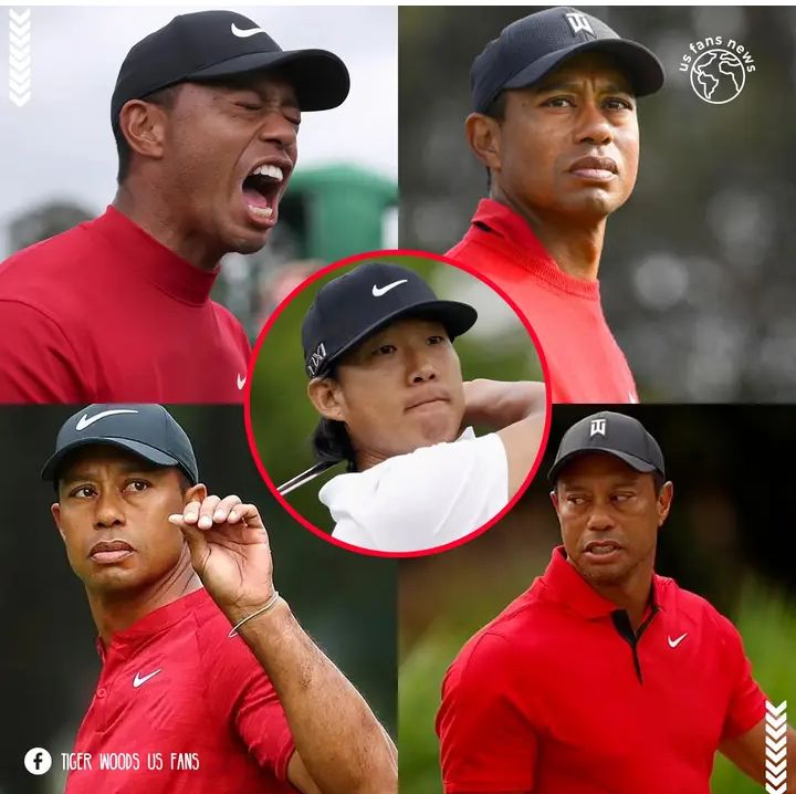 evidence prove that tiger woods cheated   and has been suspended from masters see details 👇👇