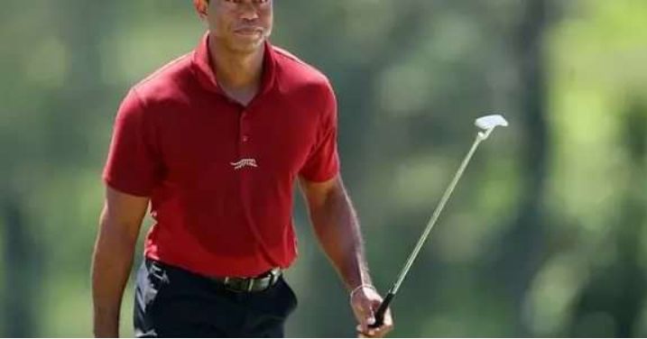 SCOTTIE SCHEFFLER Accuses TIGER WOODS Of Using Steroids.see more 