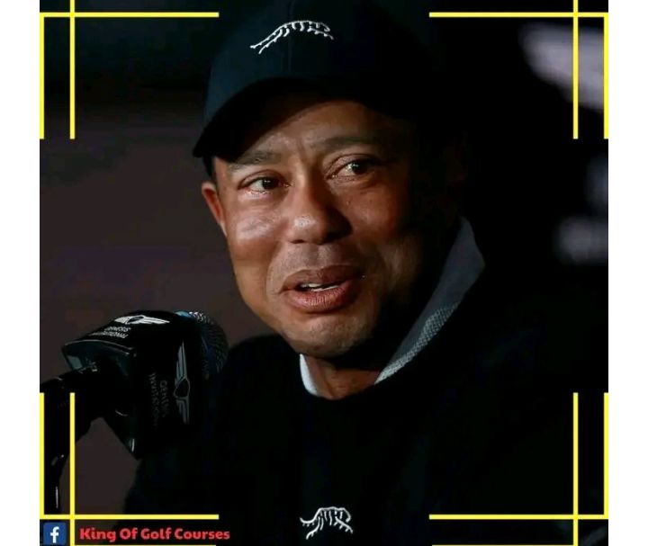 Evidence confirm that: Tiger Woods wept after becoming PGA Tour enterprise’s board of directors as new vice chairman.see more