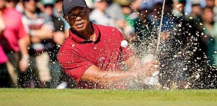 What an attitude: Reactions on social media as tiger woods angrily throw a golf ball at fan after loosing to Scottie Scheffler. 👇👇