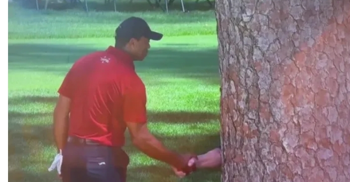 Revealed: Exactly what Tiger Woods told Augusta National tree at The Masters