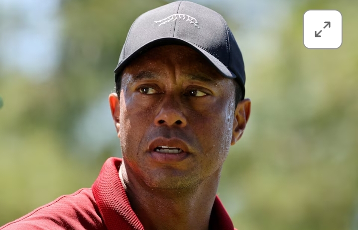 Woods, McIlroy to receive loyalty payouts from PGA Tour, report says