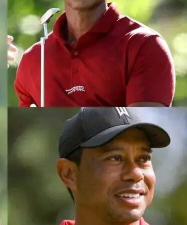 Real reasons behind tiger woods masters class successful career Full details in comment 👇👇