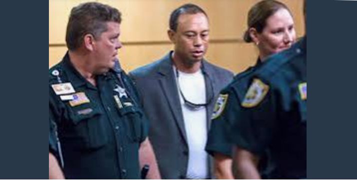 Tiger woods is arrested for killing his own brother Just because of an anger issues full details in comment