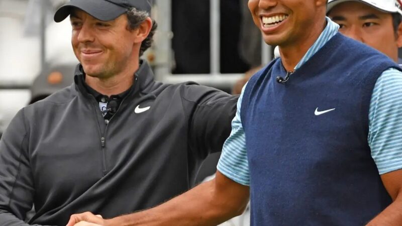 Aren’t they allies? Tiger Woods has voted against Rory McIlroy’s return to the PGA Tour board.