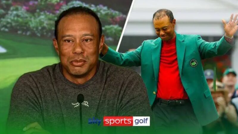 Golf course owner Tiger Woods reacts to provocation (video)