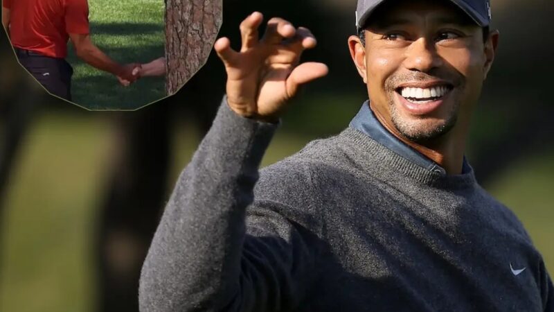 “Do you remember what that was?” – Hahaha!!! Tiger Woods explains viral social media meme “Tree of Masters”