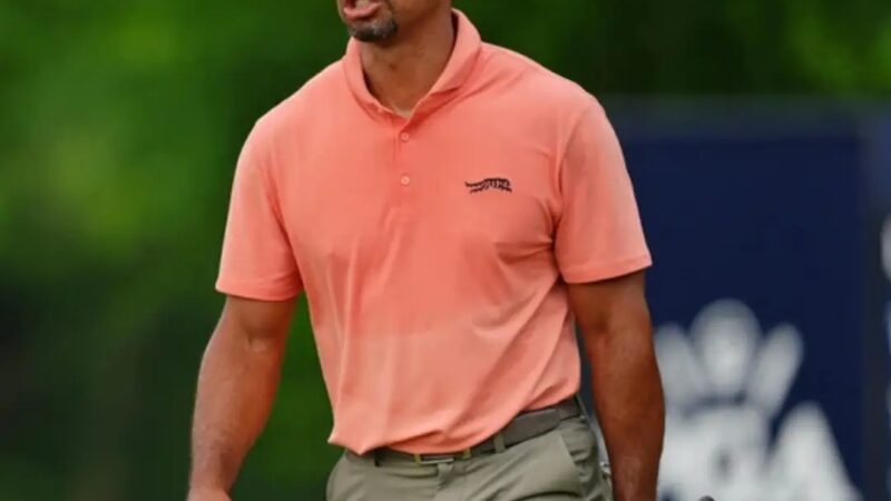 Tiger Woods admitted the brutal truth after his opening round of the PGA Championship left him 10 strokes off the lead