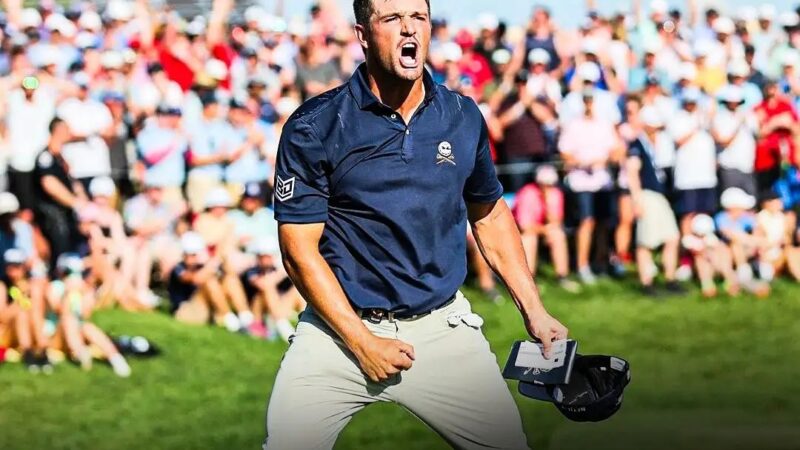 Bryson is Needles “-The golf world reacts to 4.9 million spectators in 2024 and responds 10 % more than last year’s championship.