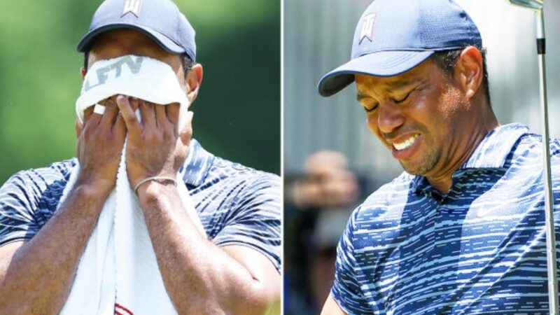 Sad news: Tiger Woods has left golf fans heartbroken after…