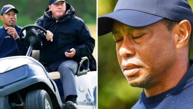 Eventually: they will be fine without Tiger“: Fans react to…!full story below