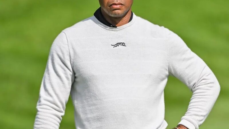 After big loss at PGA tour , Tiger woods turns focuse to……… full details below