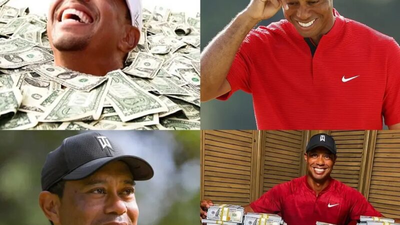 After receiving rewards from the PGA Tour, how much did Tiger Woods’ assets increase? (video) – Full video below