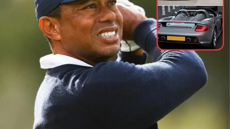 WHAT IS SO MUCH MONEY FOR? – That’s what we say when looking at the most expensive cars of legendary golfer Tiger Woods