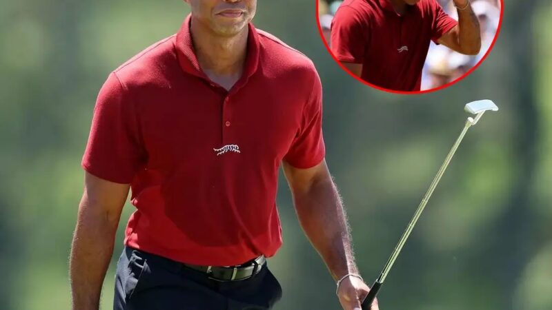 Breaking 🚨 Tiger Woods’ secret history resurfaces….