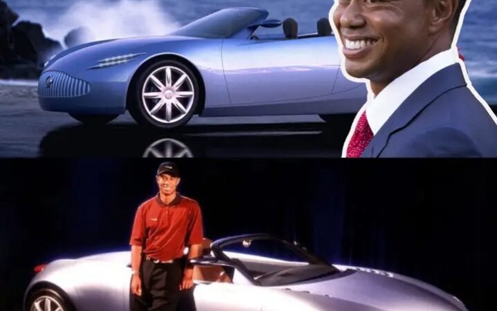 Tiger bought Buick for $40K, twice as expensive as usual just because it is related to name of tiger species, really?