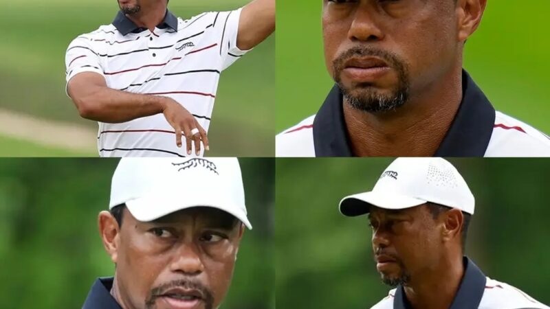 Tiger Woods disqualified from all tournaments for this reason (video) – Full video below👇👇👇