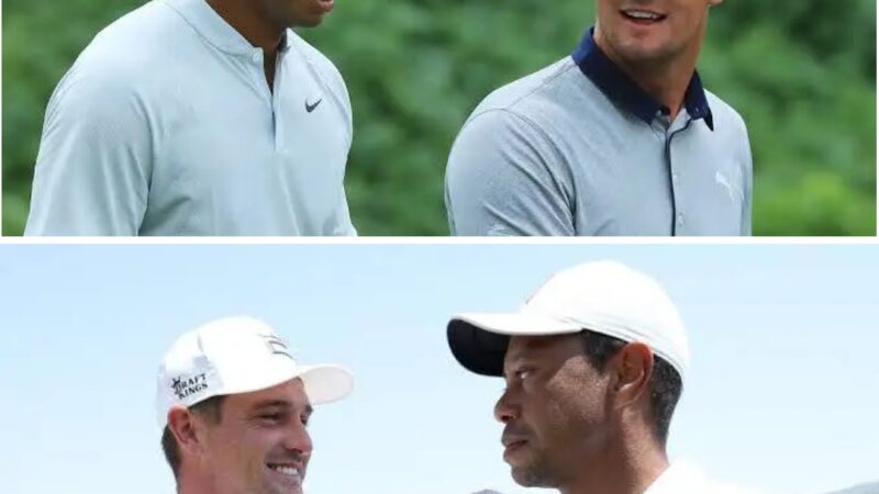 ESPN Reports: “Prior Conspiracy and Hatréd: Tiger Woods Respond to Phil Mickelson Evidence that Bryson DeChambeau cheated as he beats Rory Mcllory to US Open