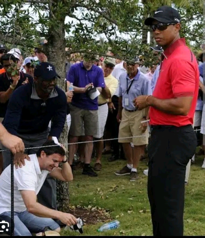 latest news;Tiger Woods  is disqualified for hitting a fan on the head    for calling him a loser.. full details below 👇