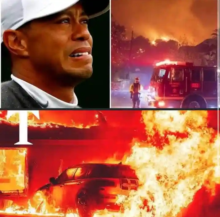 Tiger Woods has counted the first damages when a nearly $10 million mansion in Los Angeles burned down. Among them, many memorabilia were burned down, he shared… Full story